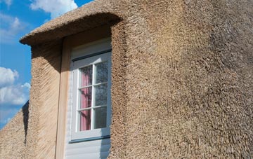 Sarisbury thatch roof disadvantages