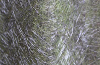 Sarisbury fibreglass roof work